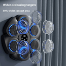 Smart Home Fitness Boxing Kit